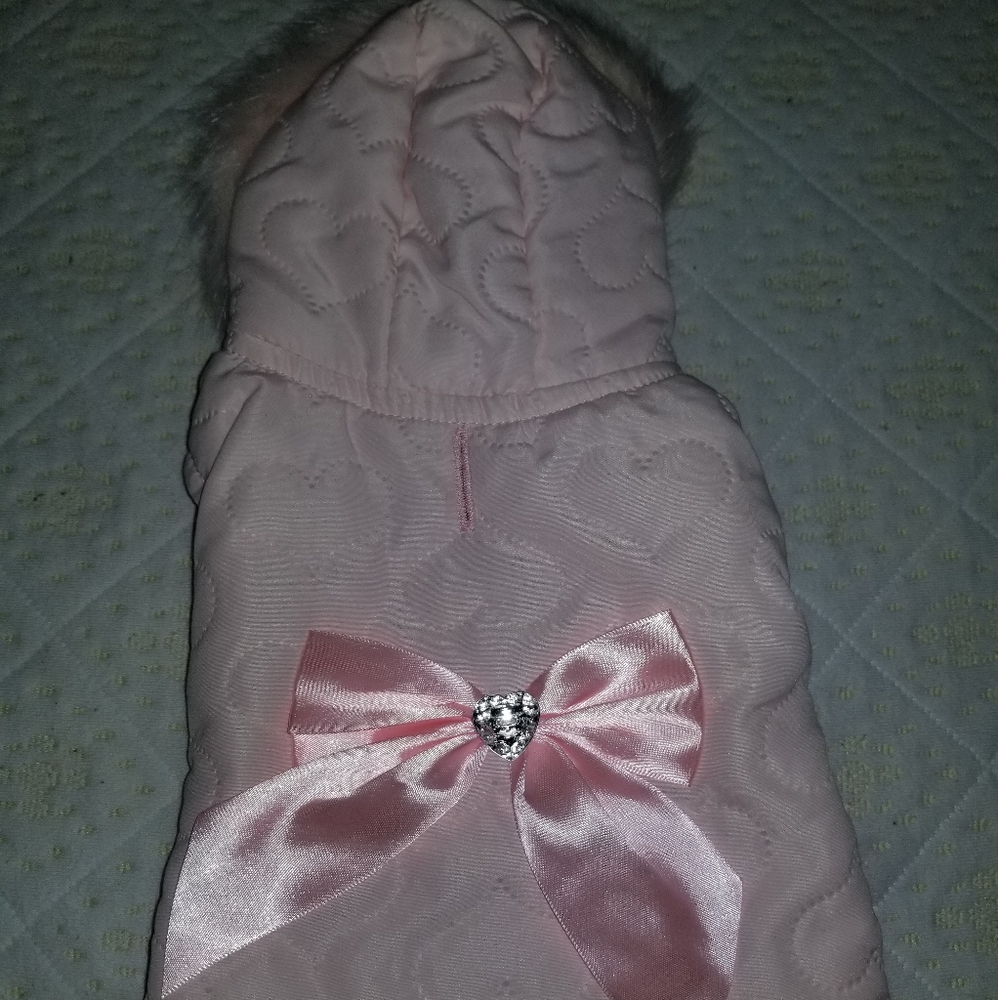 Cute dog jacket